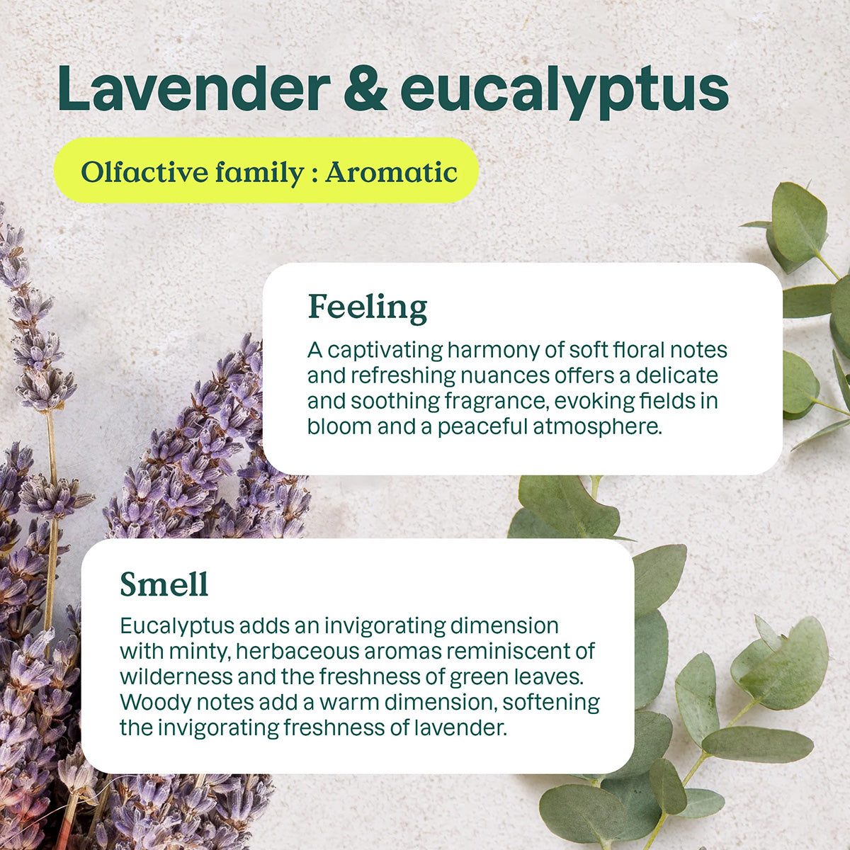 Attitude Natural Eucalyptus and Lavender Air Freshener 227 g