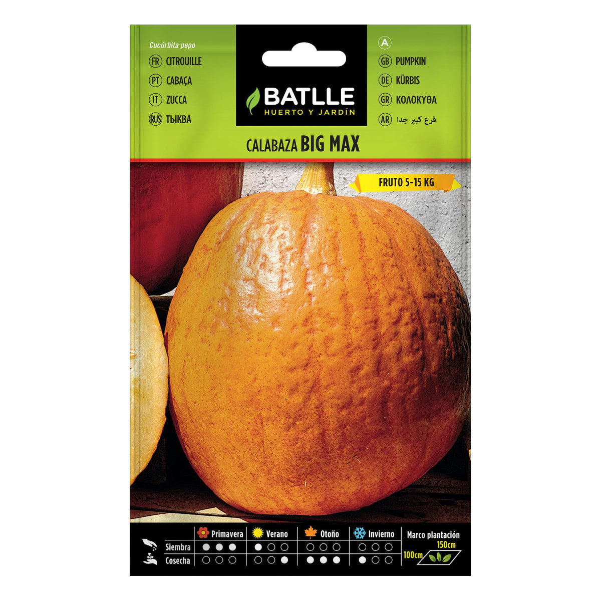 Semi di zucca gigante Big Max Batlle