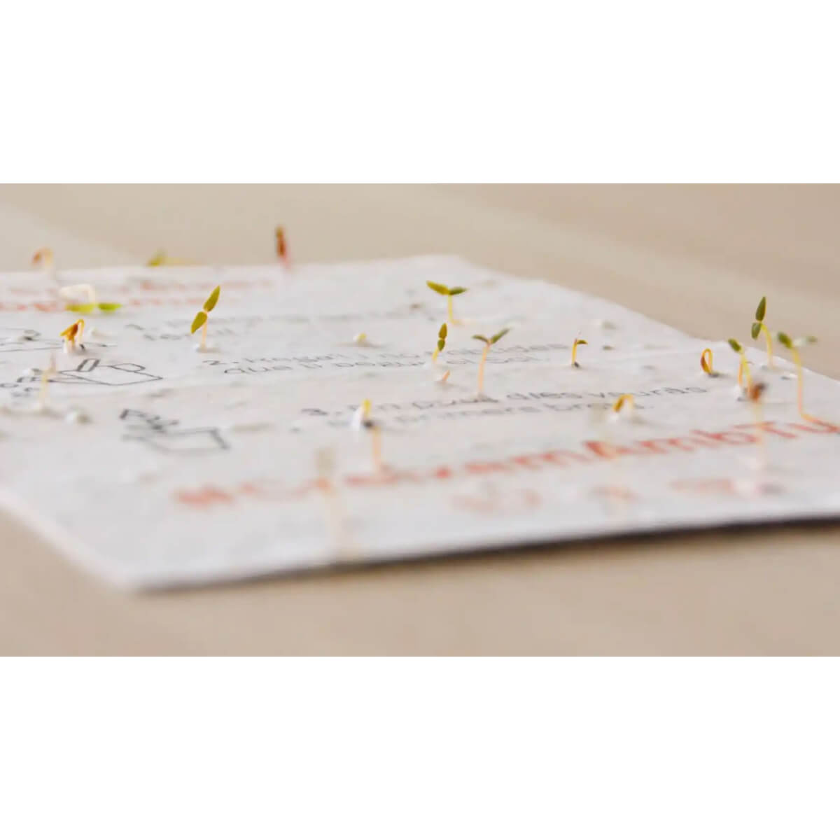 Calendrier plantable 2025 Planet Orchard Transformer le temps en nature