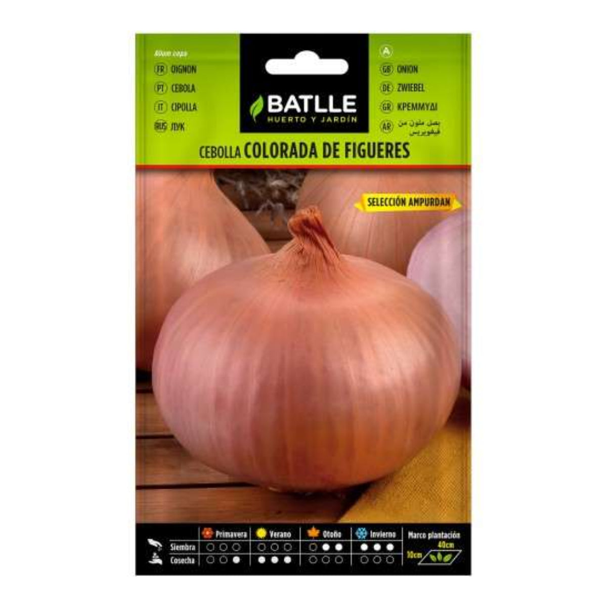 Rote Zwiebelsamen von Figueras sel. Ampurdan Batlle