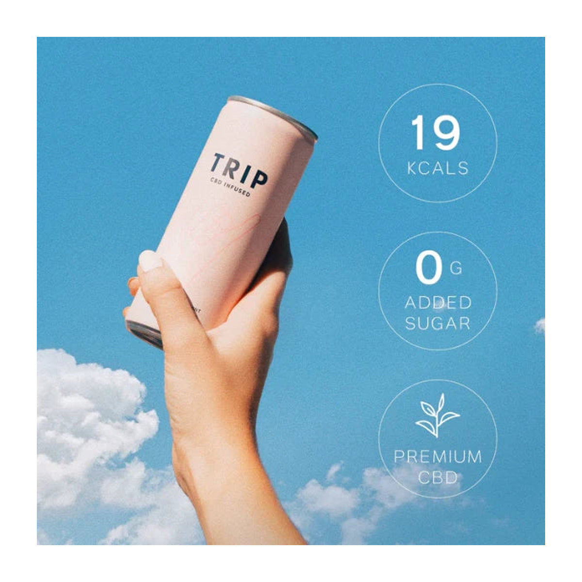 Fläderblomma och mynta TRIP 250 ml