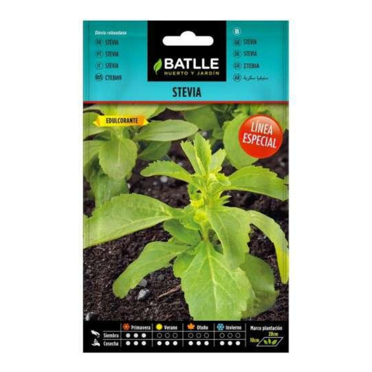 Stevia-zaden Batlle