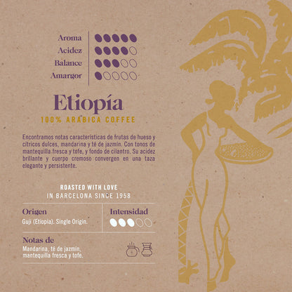 Ethiopia Novell coffee beans 500 g