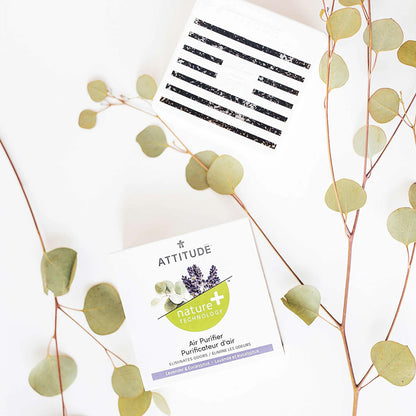 Attitude Natural Eucalyptus and Lavender Air Freshener 227 g
