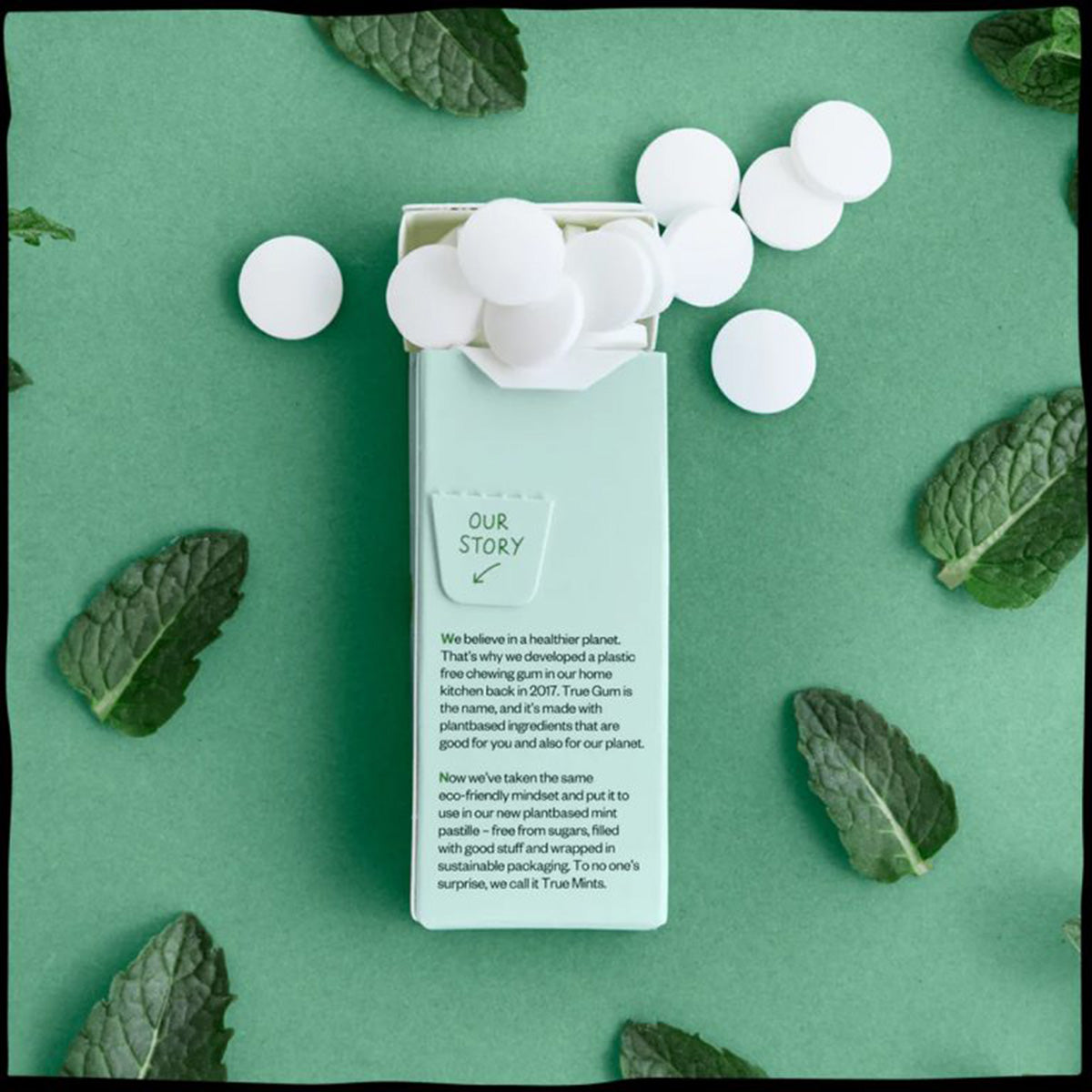 Caramelos sin plástico de Menta fresca True Mints 13g