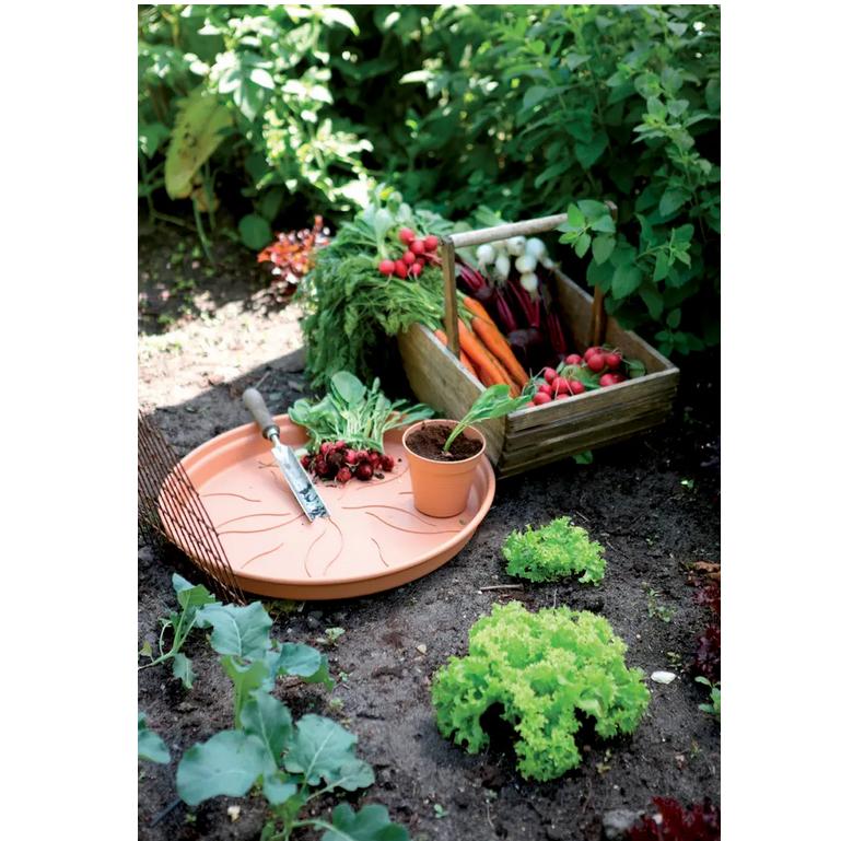 Piatto vaso Green Basics Elho Terra 22 cm