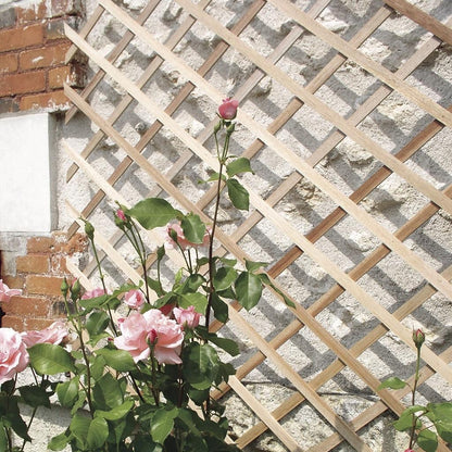 Nortene Trelliwood extendable wooden trellis 0.5x1.50 m