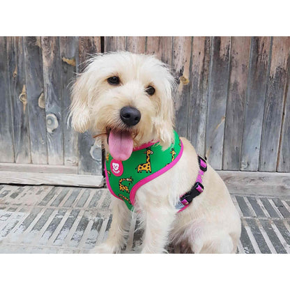 SAVANA Dukier L reversible dog harness