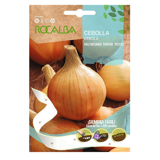 Late Valencian onion seeds on tape, Rocalba