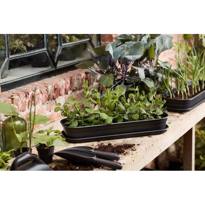 Anzuchtkasten Green basics Elho Anthrazit M