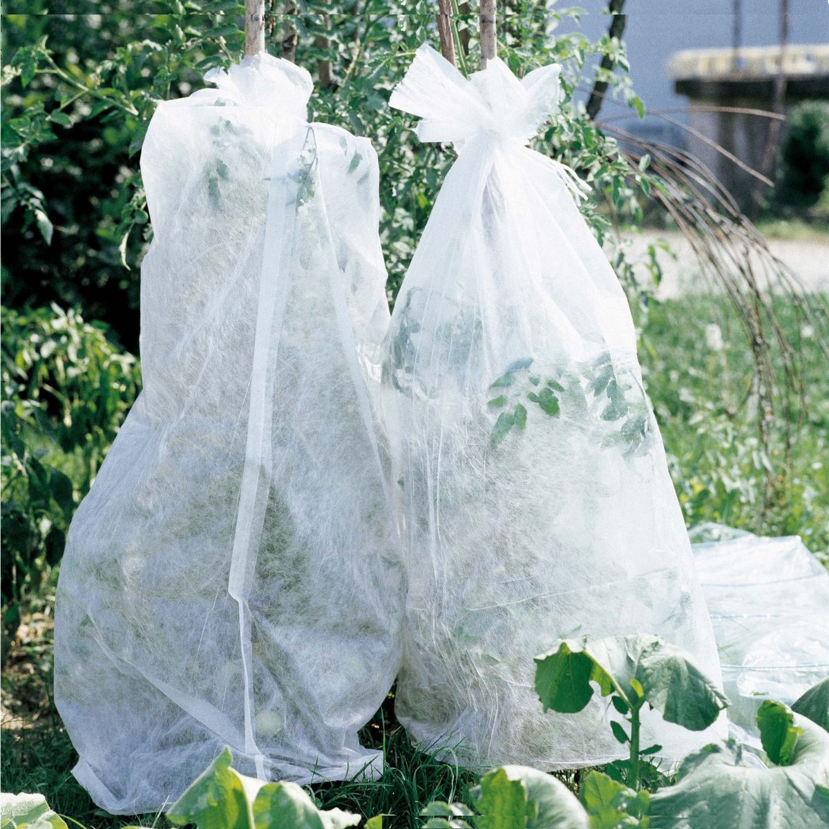 Frostschutzvlies Verdemax 1,1 x 10 m