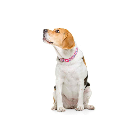 Collare per cani PRINCESS Dukier XS