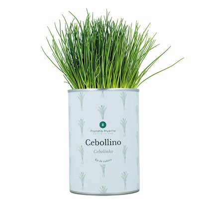 Pack Kits de cultivo aromáticas Planeta Huerto