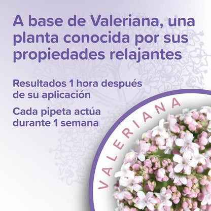 Calming Spot On  Lugnande pipetter för katter Beaphar 3x0,4 ml