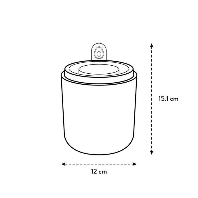 Doniczka do kiełkowania awokado Amazing Avocado Elho Verde