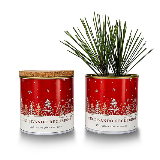 Kweekset Plant je eigen kerstboom, ideaal cadeau Garden Pocket
