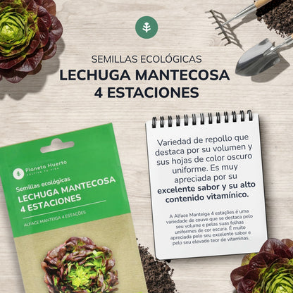 Organic Butter Lettuce Seeds 4 seasons Planet Vegetable Garden