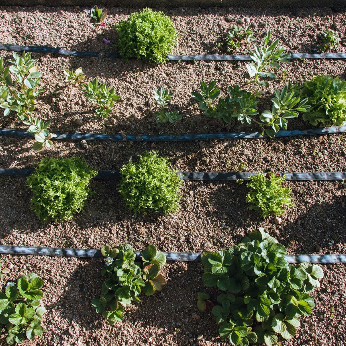 Ausscheidungsrolle Agro Planeta Huerto 50 m