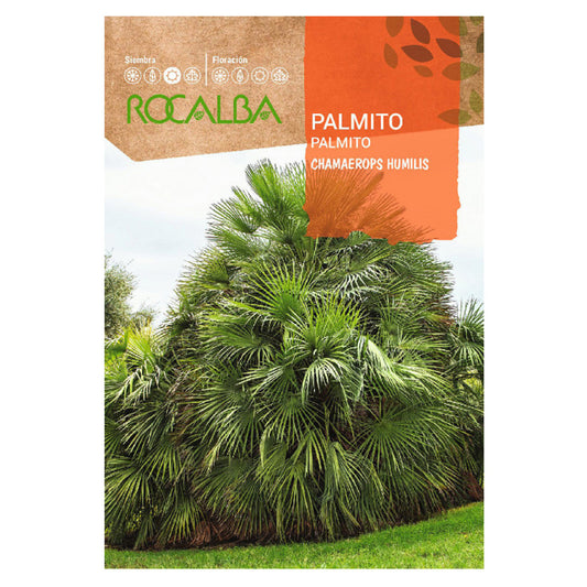 Palmenkerne, Rocalba