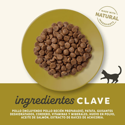 Applaws Cat Dry Poulet et agneau 2 kg Croquettes naturelles pour chats sans céréales
