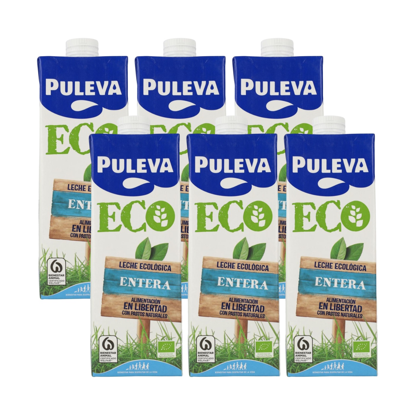 Lot de 6 bouteilles de lait entier bio Puleva, 1 L