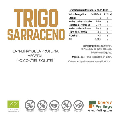 Farina di grano saraceno biologico Energy Feelings