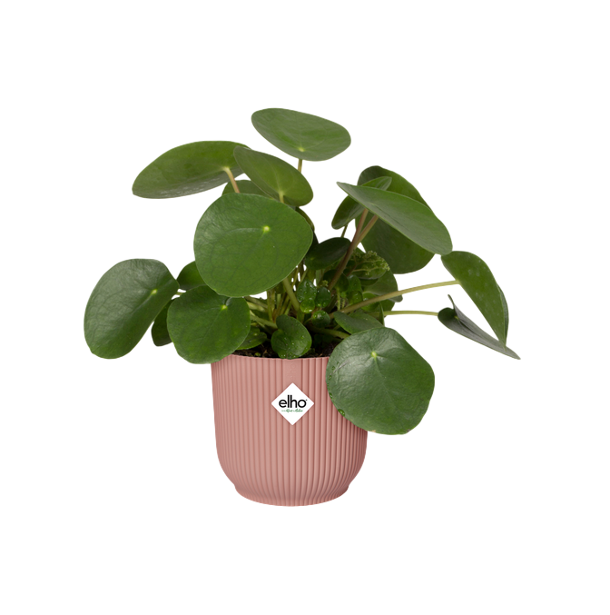 Pot de fleur Vibes Fold Round Delicate Pink Elho 22 cm