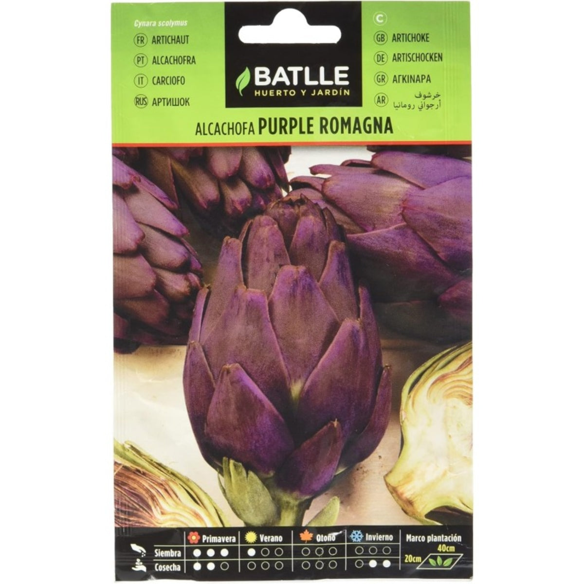 Graines d'artichaut Purple Romagna Batlle