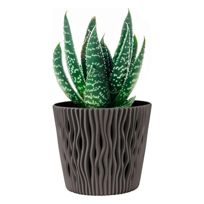 Duna Plant Pot with Taupe Grey Insert D 19 x 17