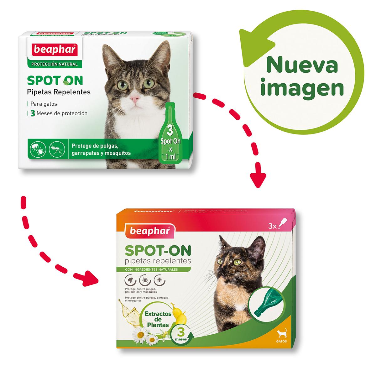 Pipetten met natuurlijke parasietenwerende middelen voor katten 3x1 ml