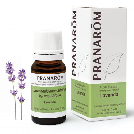 Ätherisches Lavendelöl Pranarôm 10 ml
