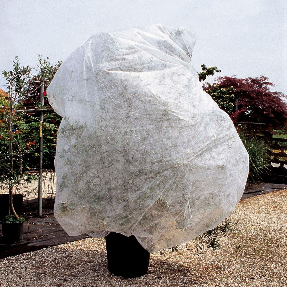 Frostschutz-Überwinterungsabdeckung Verdemax 2 Stück 1,5 x 3,6 m