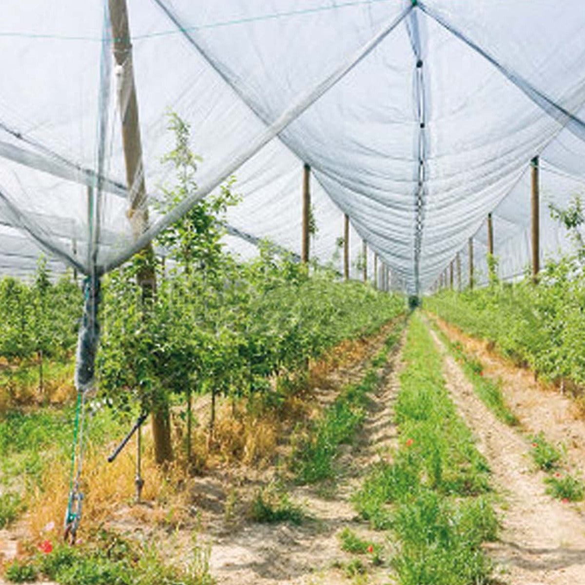 Verdemax anti-hail net 4 x 10 m