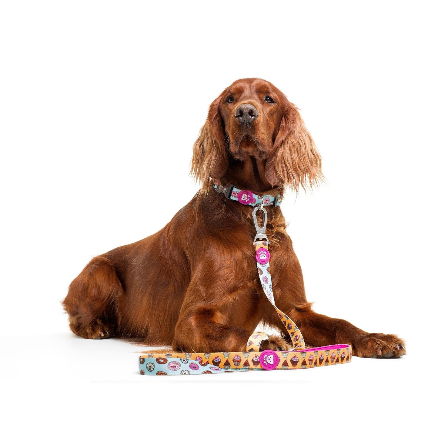 Dukier CUPCAKES dog collar - Size XS XS