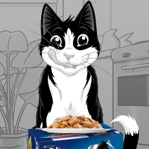 FELIX Duo Festín de Sabores w galaretce 12 x 85 g