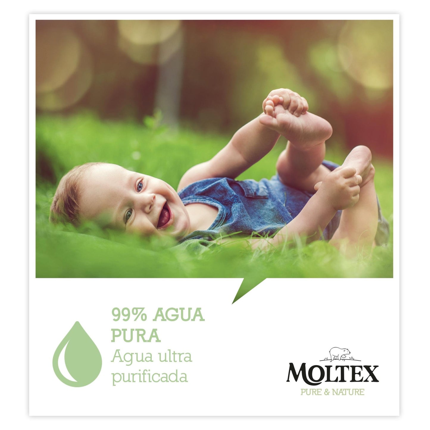 Toallitas Moltex Pure & Nature 60 Uds
