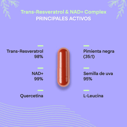 Nutralie Trans Resvératrol et NAD+ Complex 686 mg 60 gélules