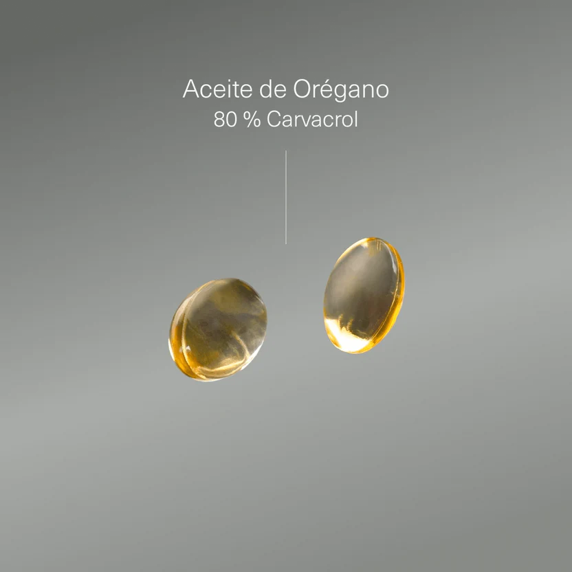 Oreganoöl 200 mg, 160 mg Carvacrol Aldous Bio 200 Perlen