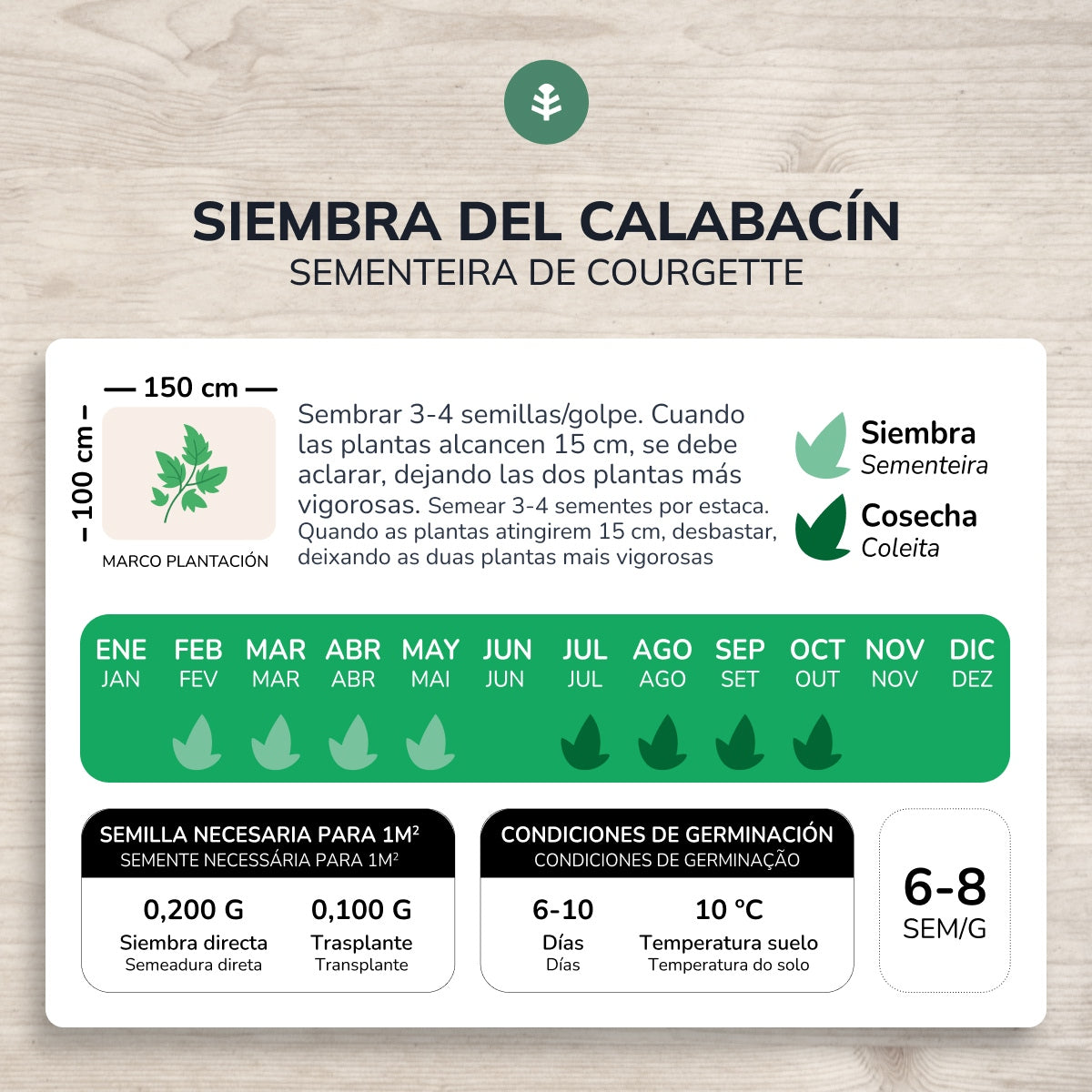 Organic Zucchini Black Beauty seeds Planeta Huerto