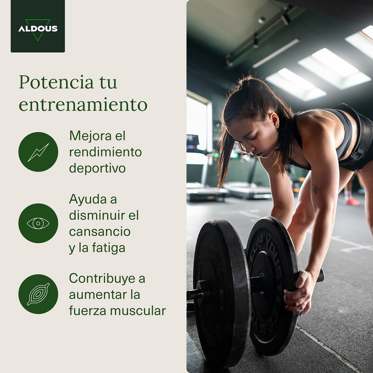 Creatine monohydraat Aldous 3000 mg 200 tabletten