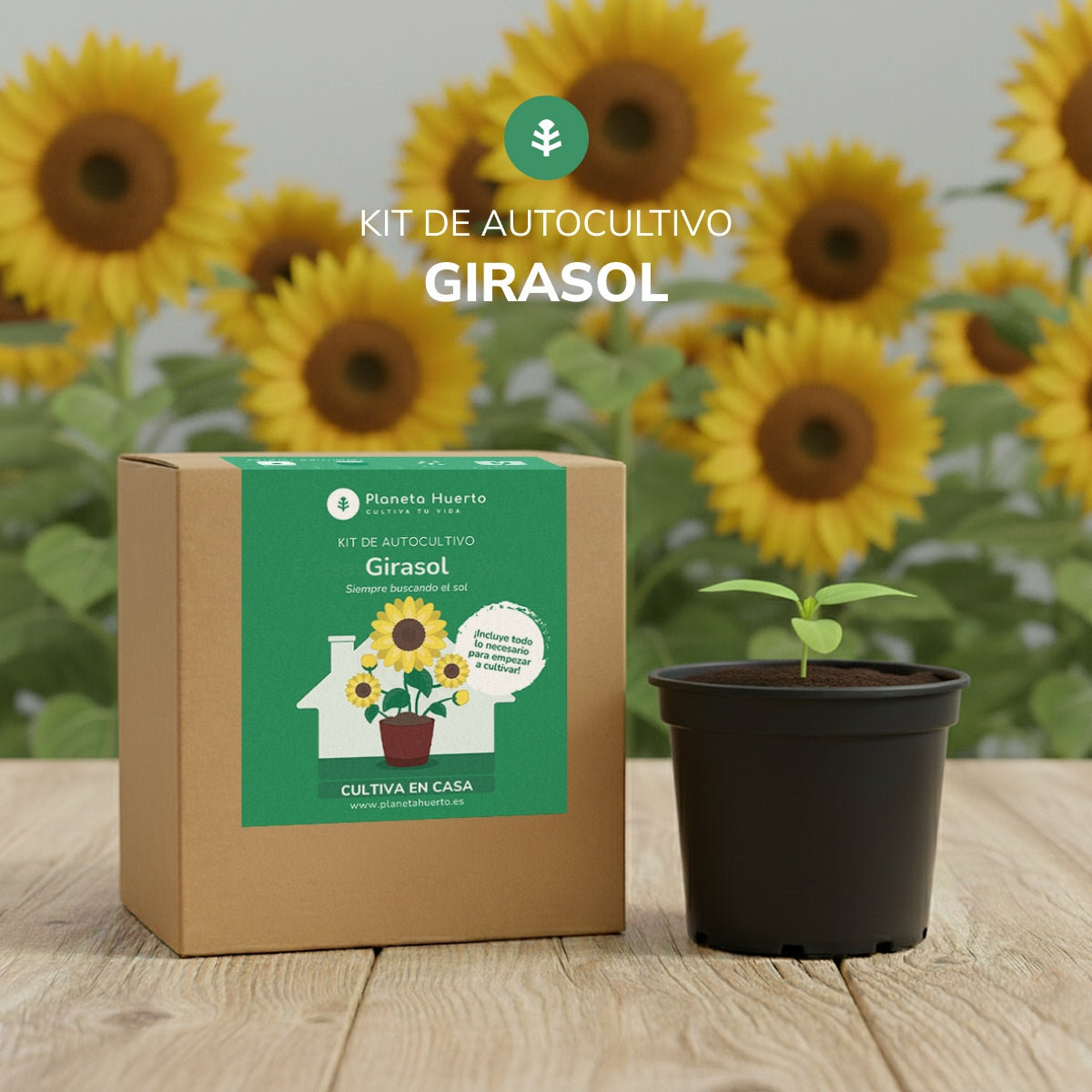 Sunflower self-cultivation kit Planeta Huerto