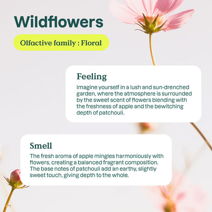 Eko-påfyllning tvättmedel vildblommor Nature + technology 2 L 80 tvättar