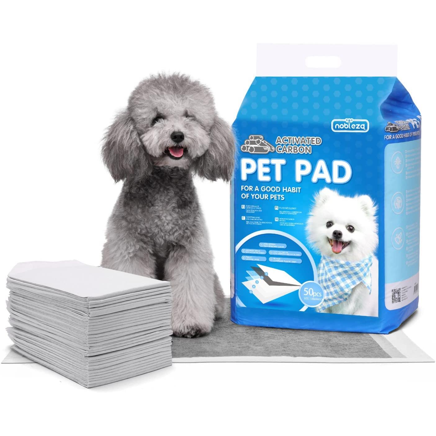 Activated carbon pad 60 x 60 cm Nobleza 50 pcs