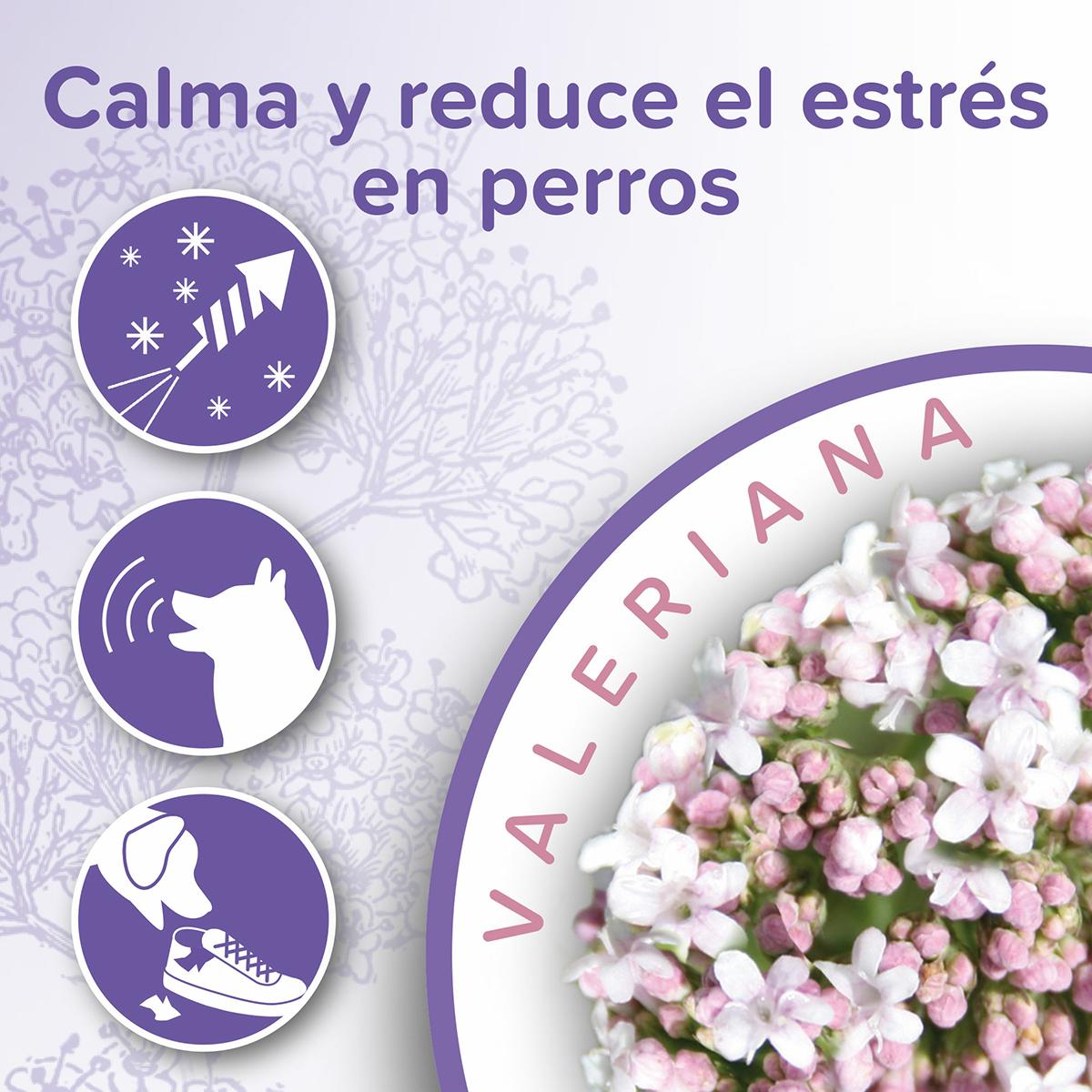 Obroża uspokajająca dla psów Beaphar 65 cm