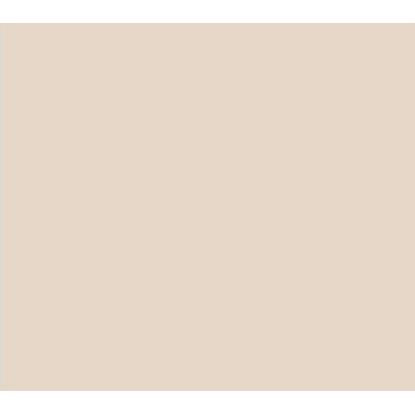 PEINTURE À LA CRAIE CP-38 NUDE 0,5