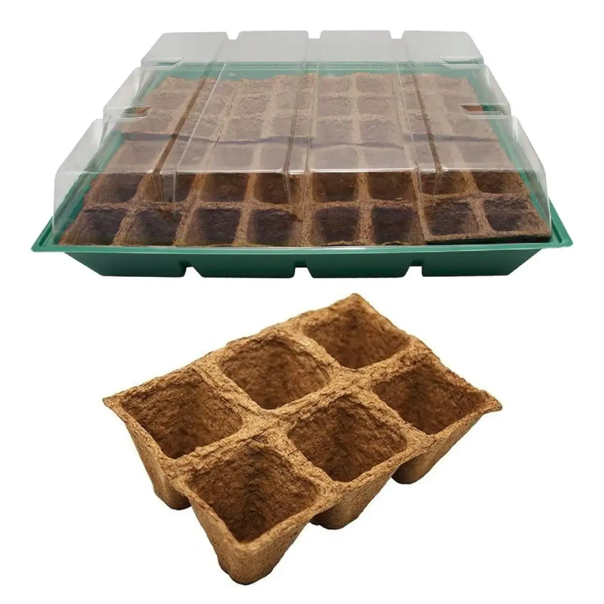 Saatgut-Set L mit 10 Ersatzschalen Planeta Huerto