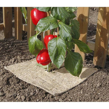 Pacciamatura naturale anti-erbacce Flaxhemp Nortene 0,5x3 m