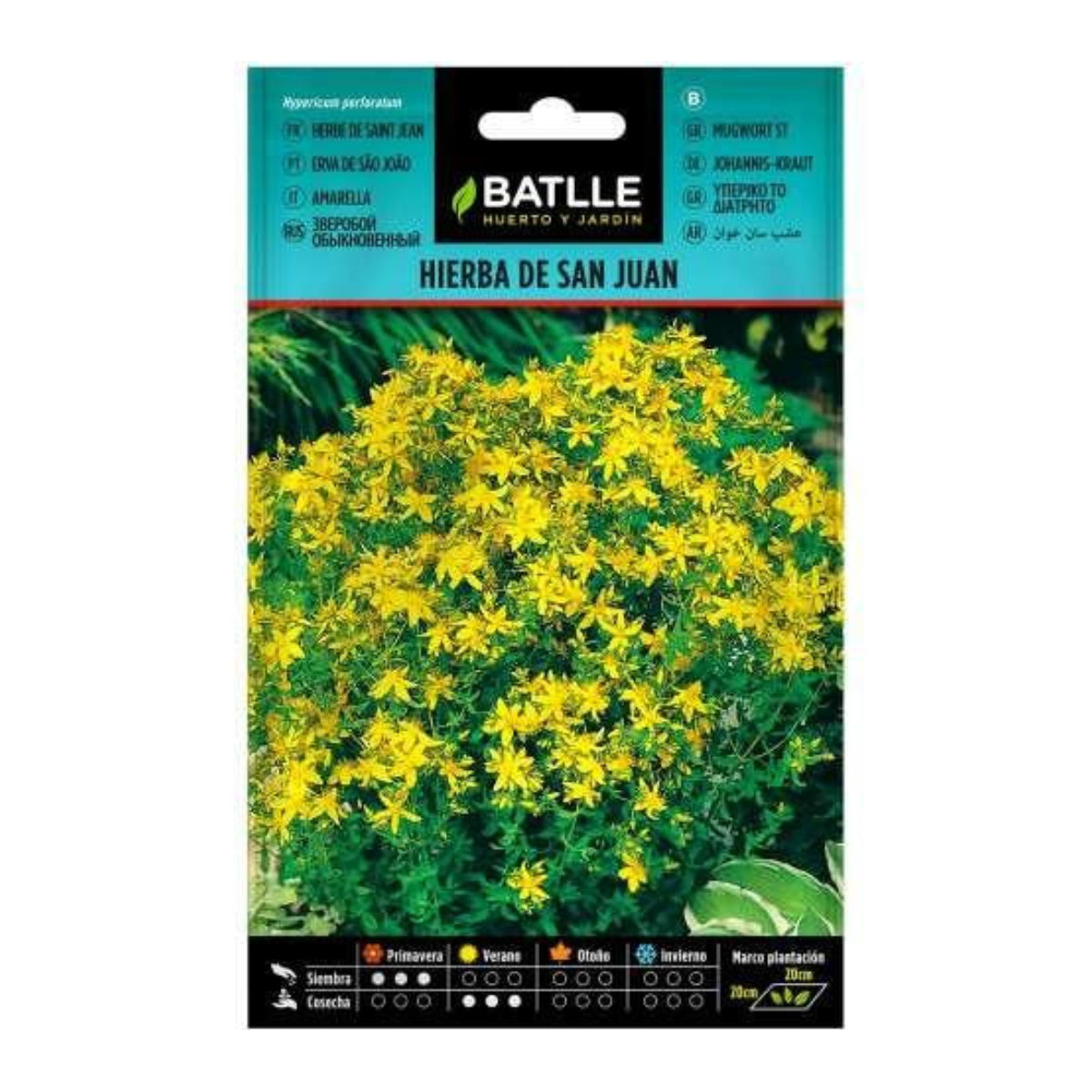 St. John's Wort seeds Batlle