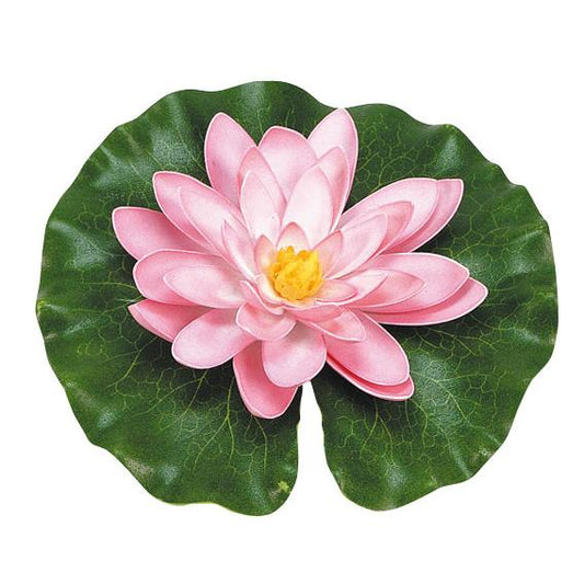 Rosa näckros med droppar