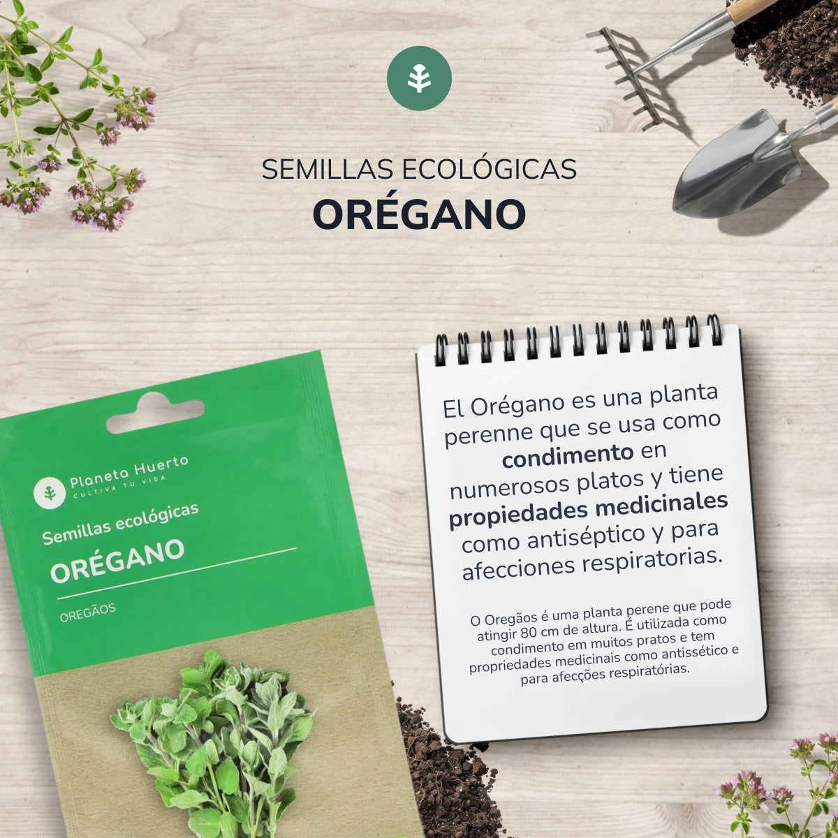 Organiczne nasiona oregano Planeta Huerto